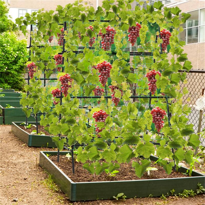 Black PE-Coated Metal A-Frame Garden Trellis with Netting Support - 41" x 51" x 59" (L x W x H)