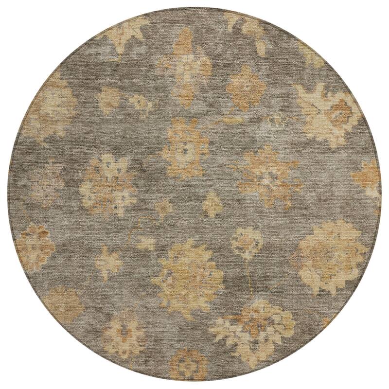 Machine Washable Indoor/ Outdoor Casual Traditional Chantille Rug