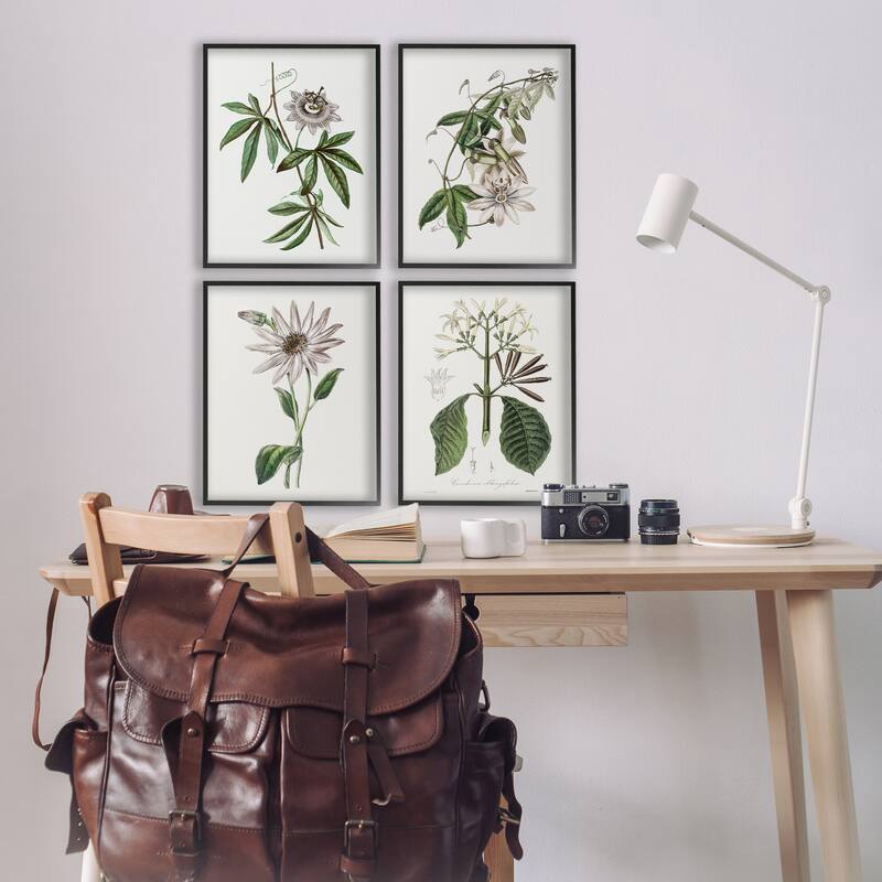 Stupell Various Vintage Botanicals Framed Giclee Art Design By CAD Design (Set of 4)
