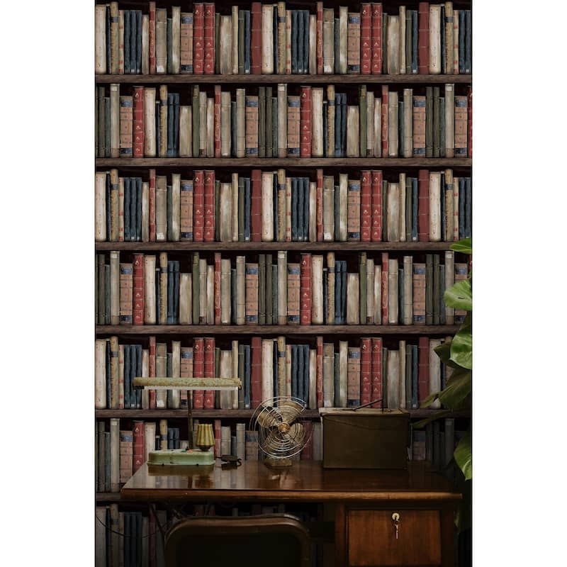Harry & Grace Faux Bookshelves Peel and Stick Wallpaper