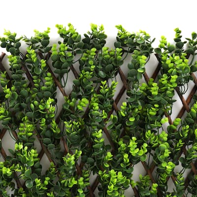 Wintergreen Trellis - 4 Pack