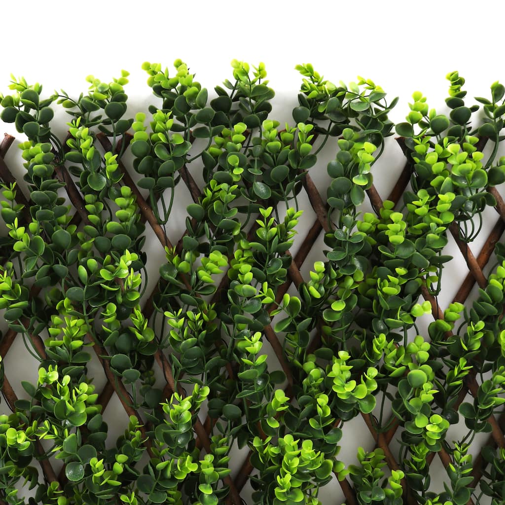 Wintergreen Trellis - 4 Pack