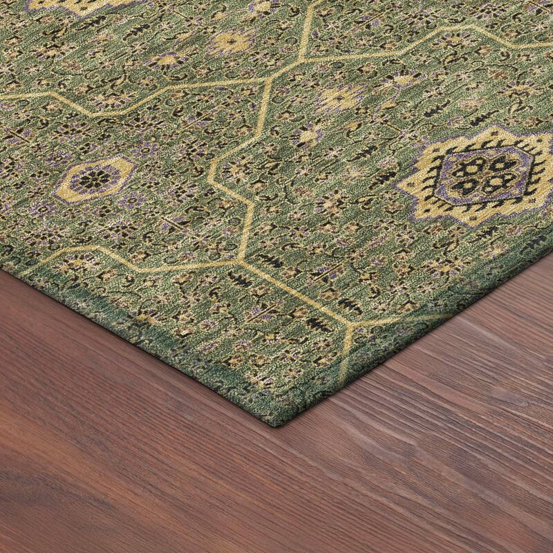 Machine Washable Indoor/ Outdoor Traditional Mika Chantille Rug