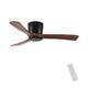 Option Black Brown
