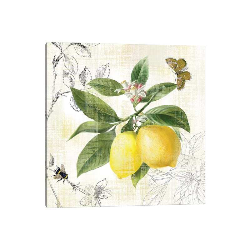 iCanvas "Linen Lemons I" by Nan Canvas Print