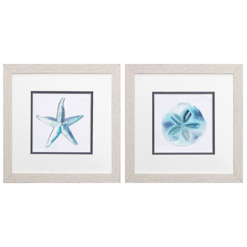 Starfish Sand Dollar S/2 Framed Art Under glass - 11 X 11 X 1