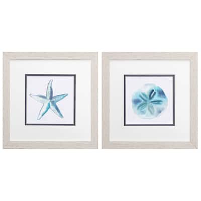 Starfish Sand Dollar S/2 Framed Art Under glass