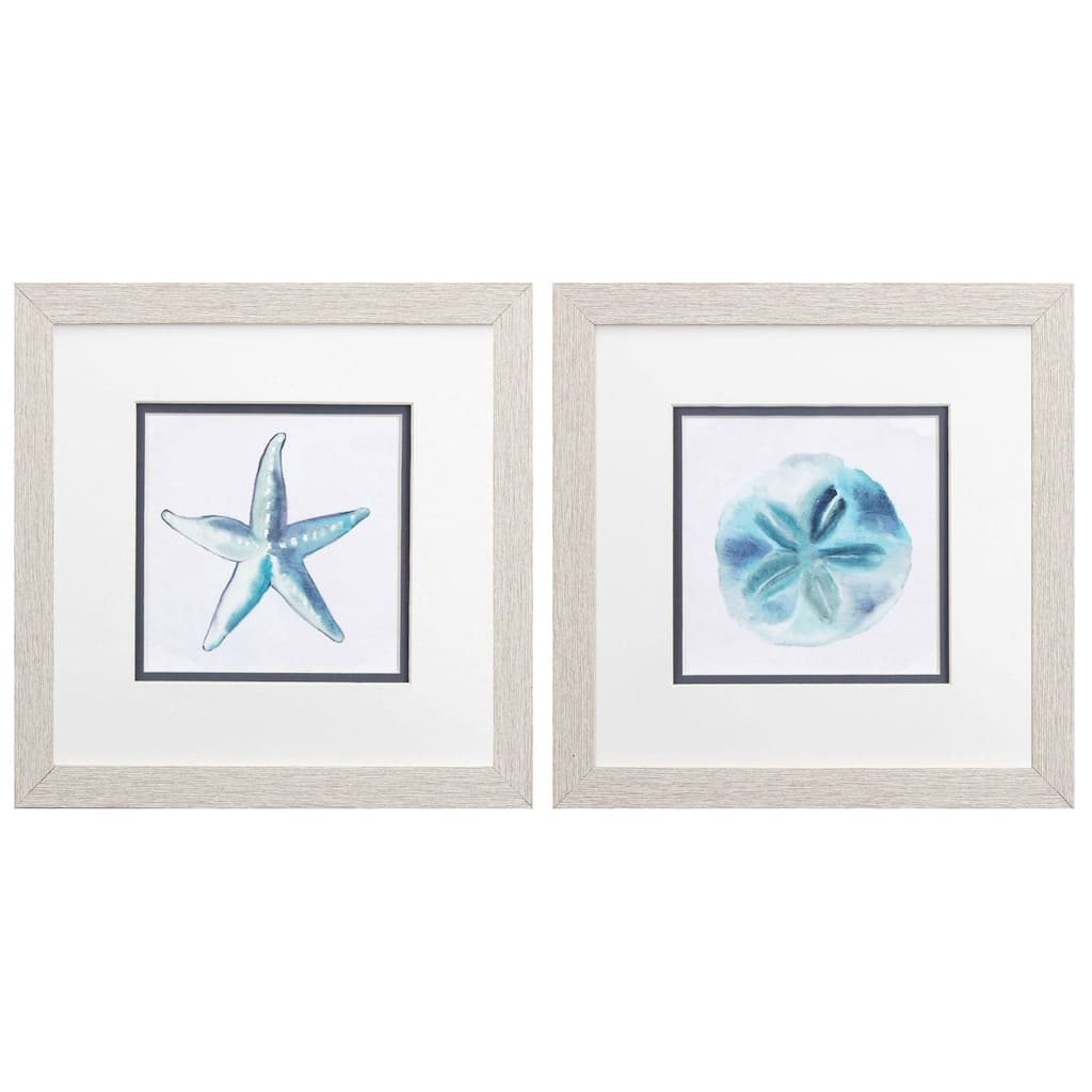 Starfish Sand Dollar S/2 Framed Art Under glass