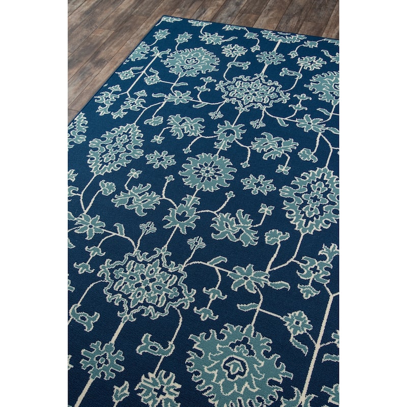 Momeni Baja Updated Traditional Indoor Outdoor Area Rug