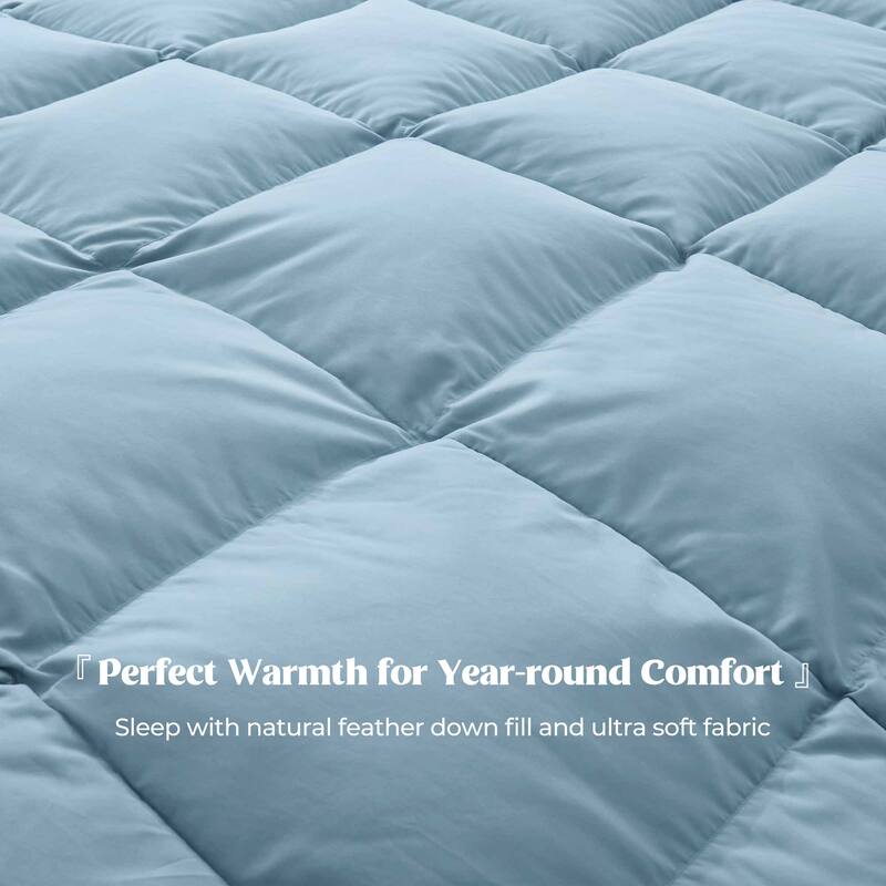 Year-round & Lightweight White Goose Down Duvet Insert Comforter