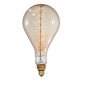 Bulbrite 60 Watt Dimmable Grand Nostalgic Medium (E26) Incandescent Bulb