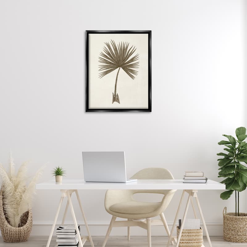 Stupell Vintage Study of Palm Leaf Framed Floater Canvas Wall Art Design By Phillipa Katz