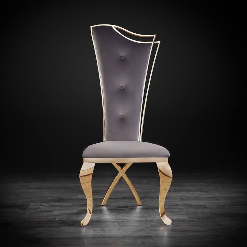 Belladonna Titanium Gold Stainless Steel Dining Chair, Set of 2