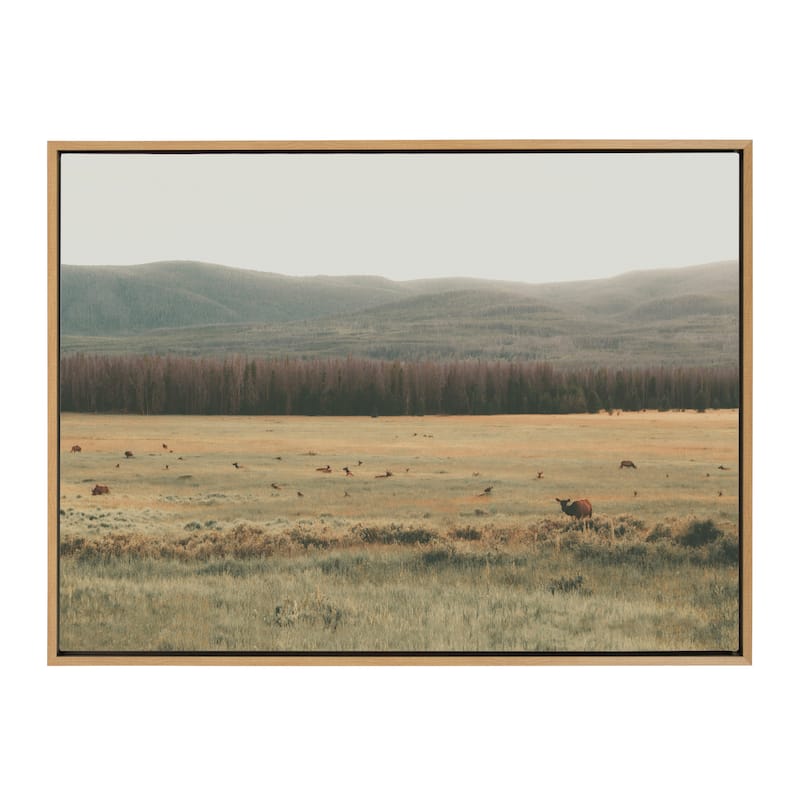 Kate and Laurel Sylvie AA On The Range Framed Canvas by Alicia Abla