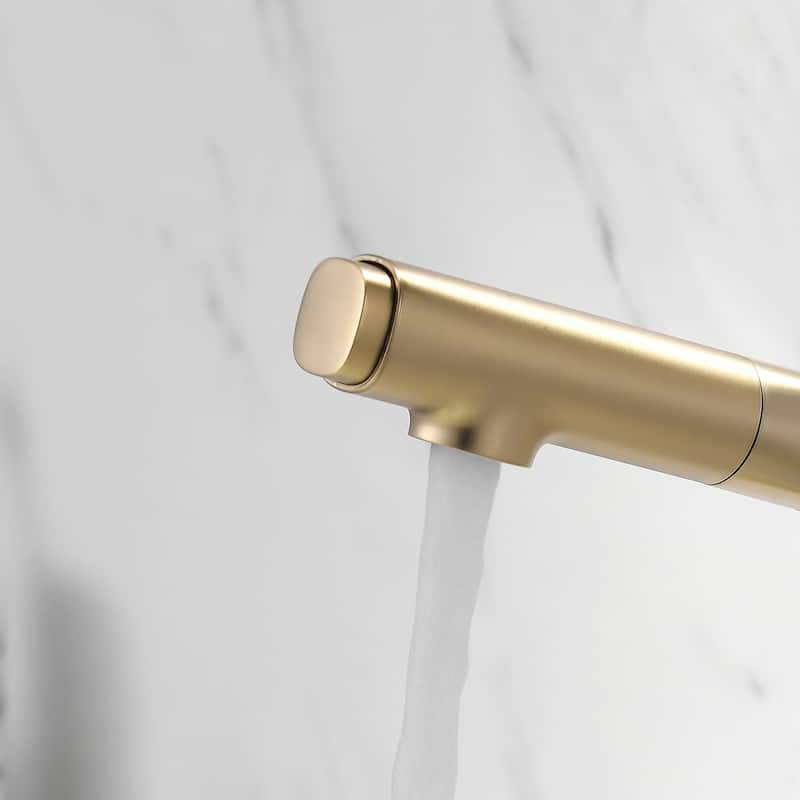 Pull Out Swivel Single Hole Bathroom Faucet