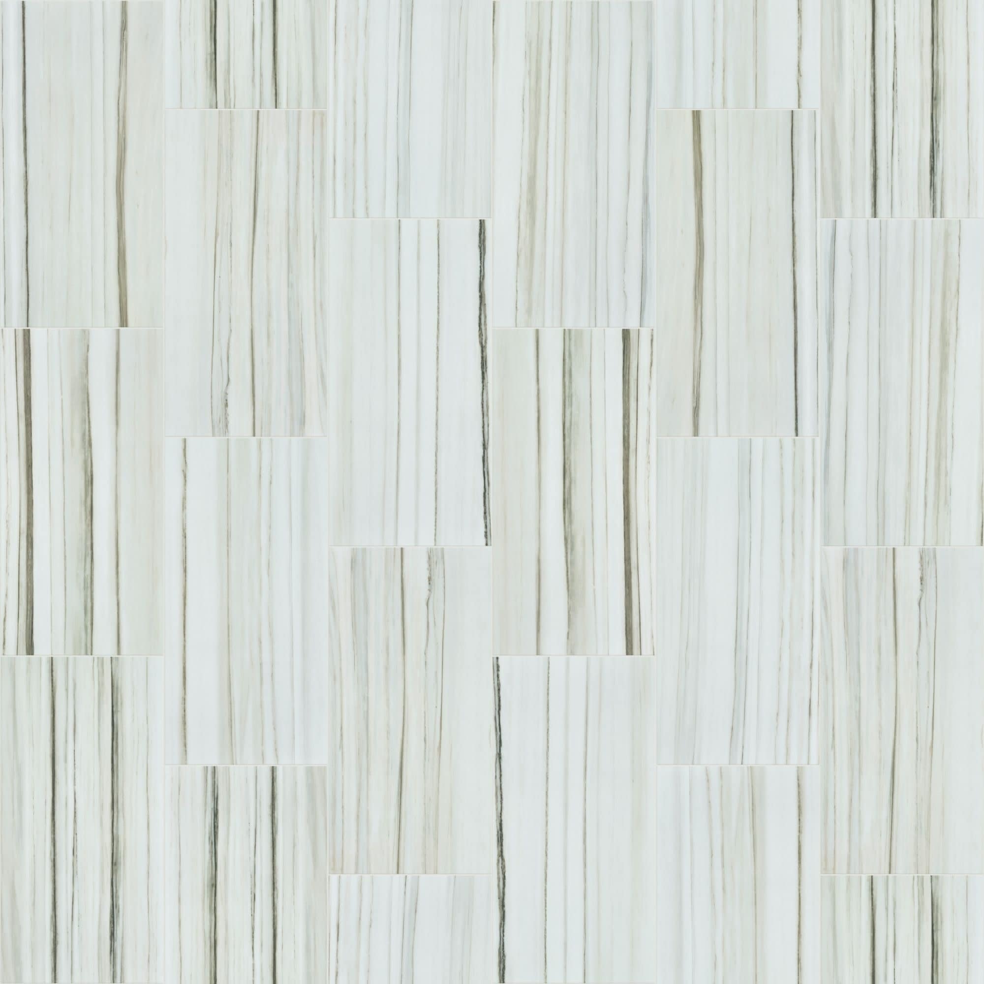 Shaw Casino - 12" x 24" Rectangle Floor Tile - Polished Marble Visual