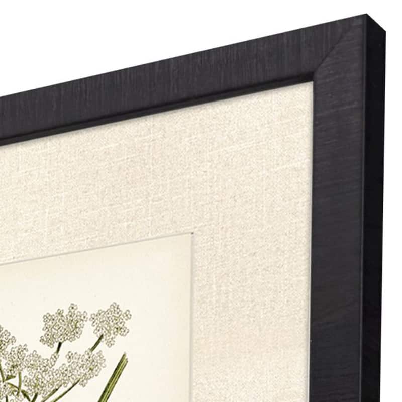 Paragon Queen's Lace I Framed Art - Set of 2