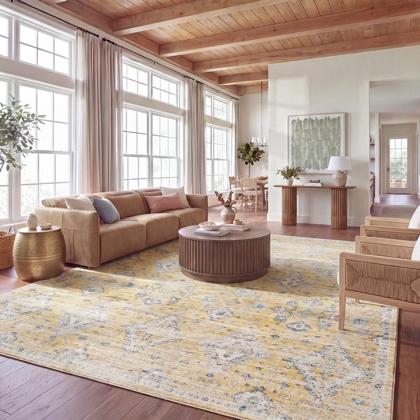 slide 2 of 46, SAFAVIEH Evoke Stacie Vintage Boho Shabby Chic Rug 10' x 14' - Gold/Ivory