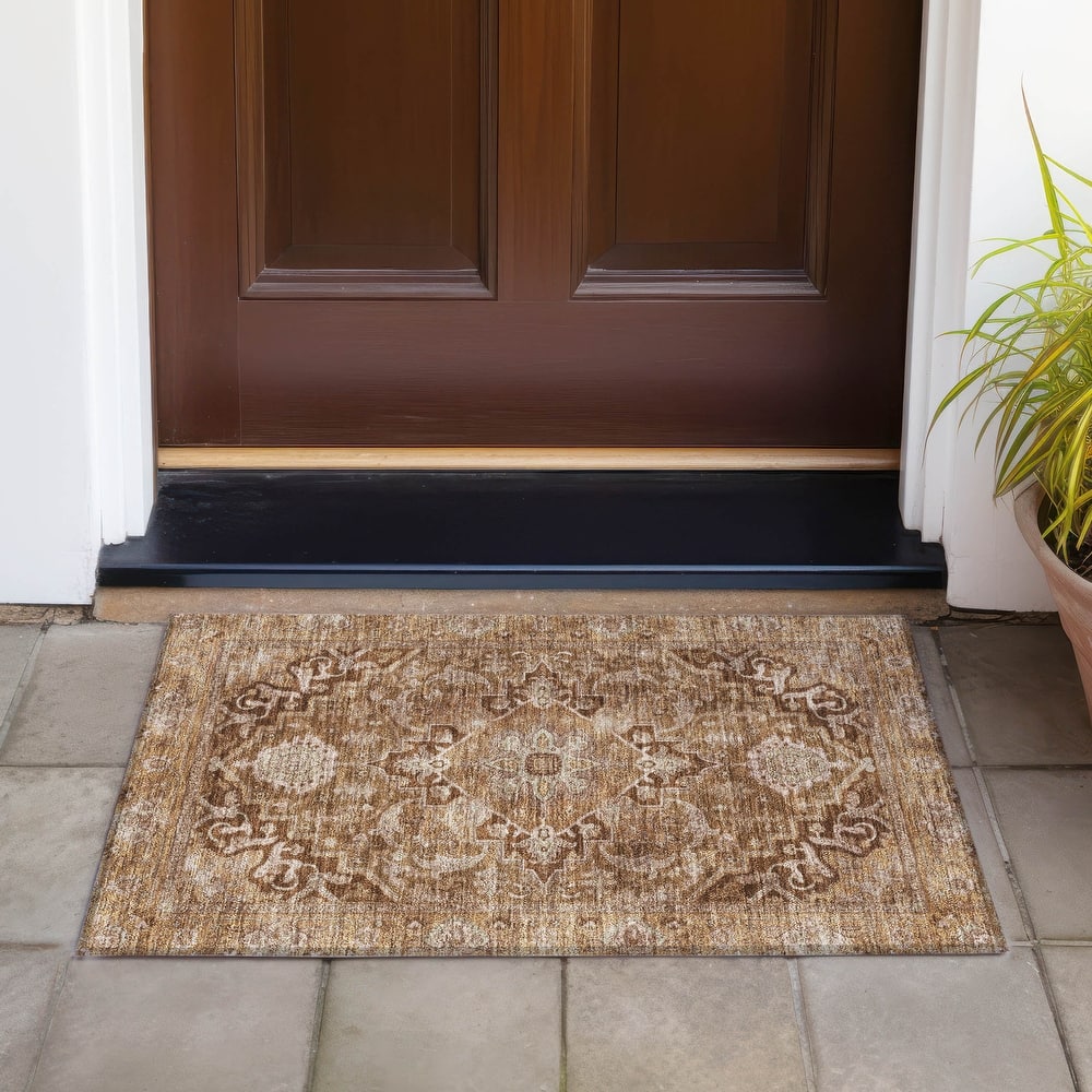 Machine Washable Indoor/Outdoor Traditional Medallion Chantille Rug