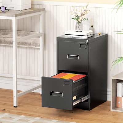 2/4 Drawer Vertical File Cabinet with Lock for Home Office