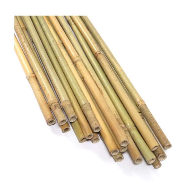 Garden Bamboo Stakes,10-pack - 5fft