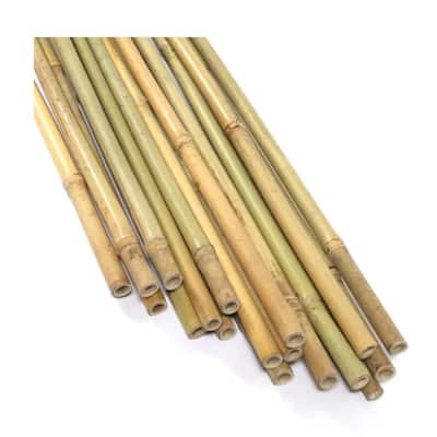 Garden Bamboo Stakes,10-pack