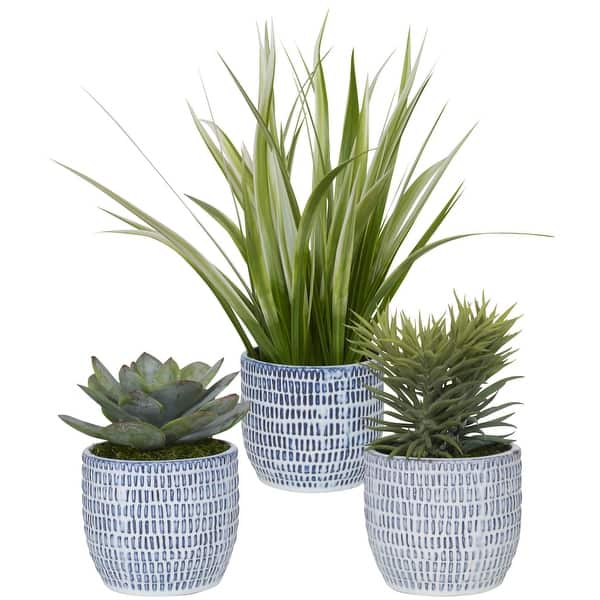 slide 2 of 3, Uttermost 60192 Puebla Set of (3) Greenery Succulent and Spider Plants - Cobalt Blue / White Cobalt Blue / White