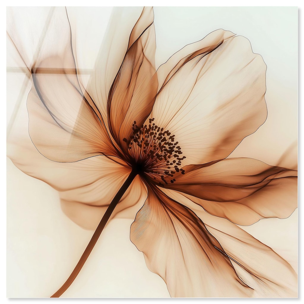 Fragile Elegance I Acrylic by Art Remedy, Ready to Hang