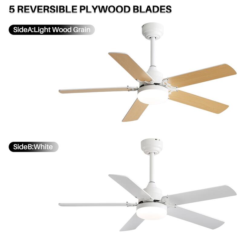 42" Plywood Blades Ceiling Fan with LED light and Remote, Flush Mount and Downrod Mount