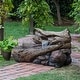 preview thumbnail 34 of 43, Alpine Corporation Outdoor Multi-Tier Rainforest Rock Waterfall Fountain with LED Lights