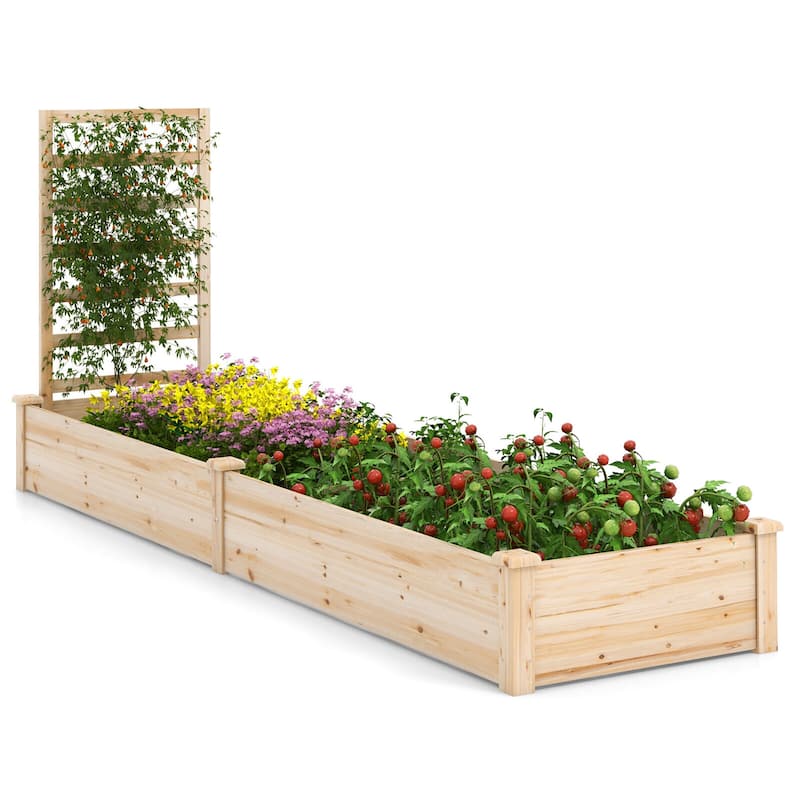 Gymax Raised Garden Bed Wooden Planter Box with Divided Space for - Natural