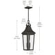 preview thumbnail 14 of 12, Cleary 2-Light Outdoor Pendant with Clear Glass - 24.75