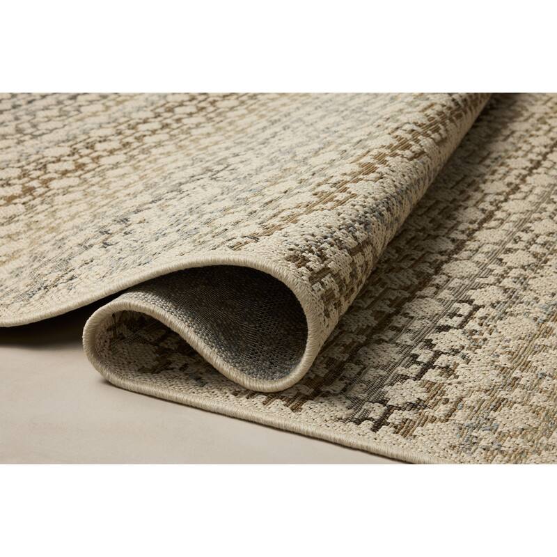 Alexander Home Saoirse Indoor/Outdoor Area Rug