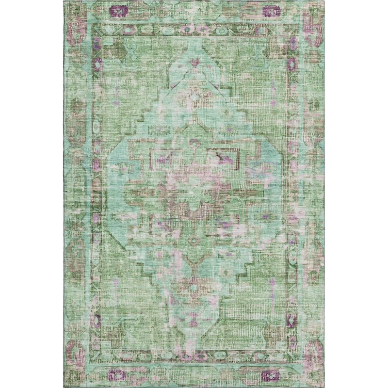 Premium Washable Super Soft Vintage Traditional Mayfield Rug