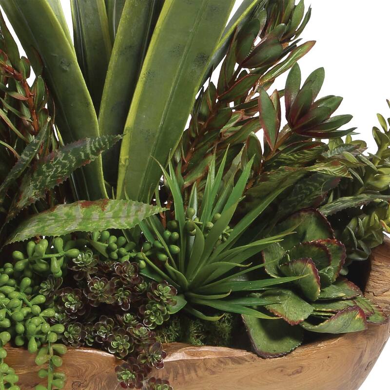 Uttermost Salar Artificial Designer Succulents Plants in Teak Bowl
