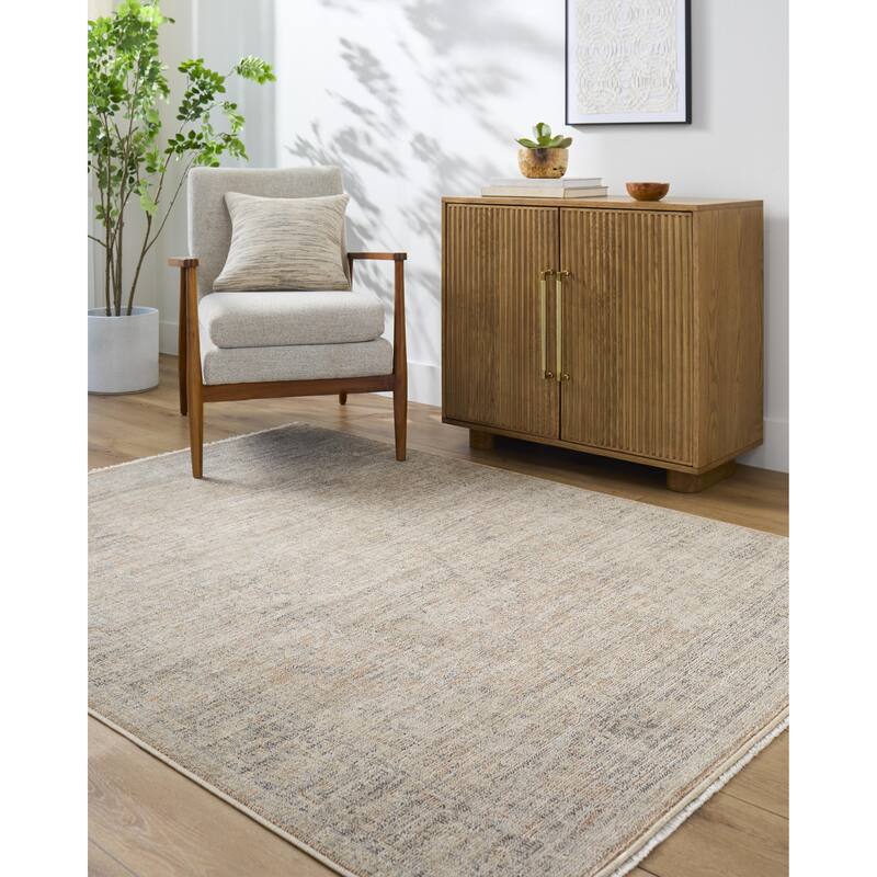 Galey Alix x Livabliss Maria Elena III Vintage Medallion Area Rug