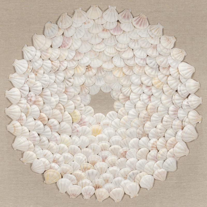 HUJI Mini Scallop Shells Shadow Box Wall Décor