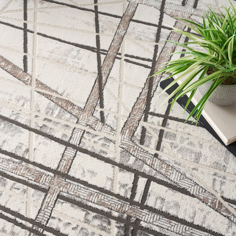 Nourison Desire Indoor Silver Abstract Area Rug
