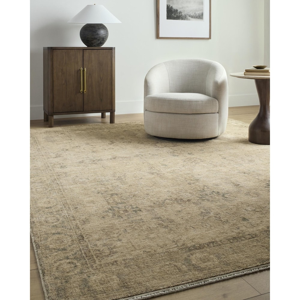 Galey Alix x Livabliss Fetscher II Vintage Medallion Area Rug