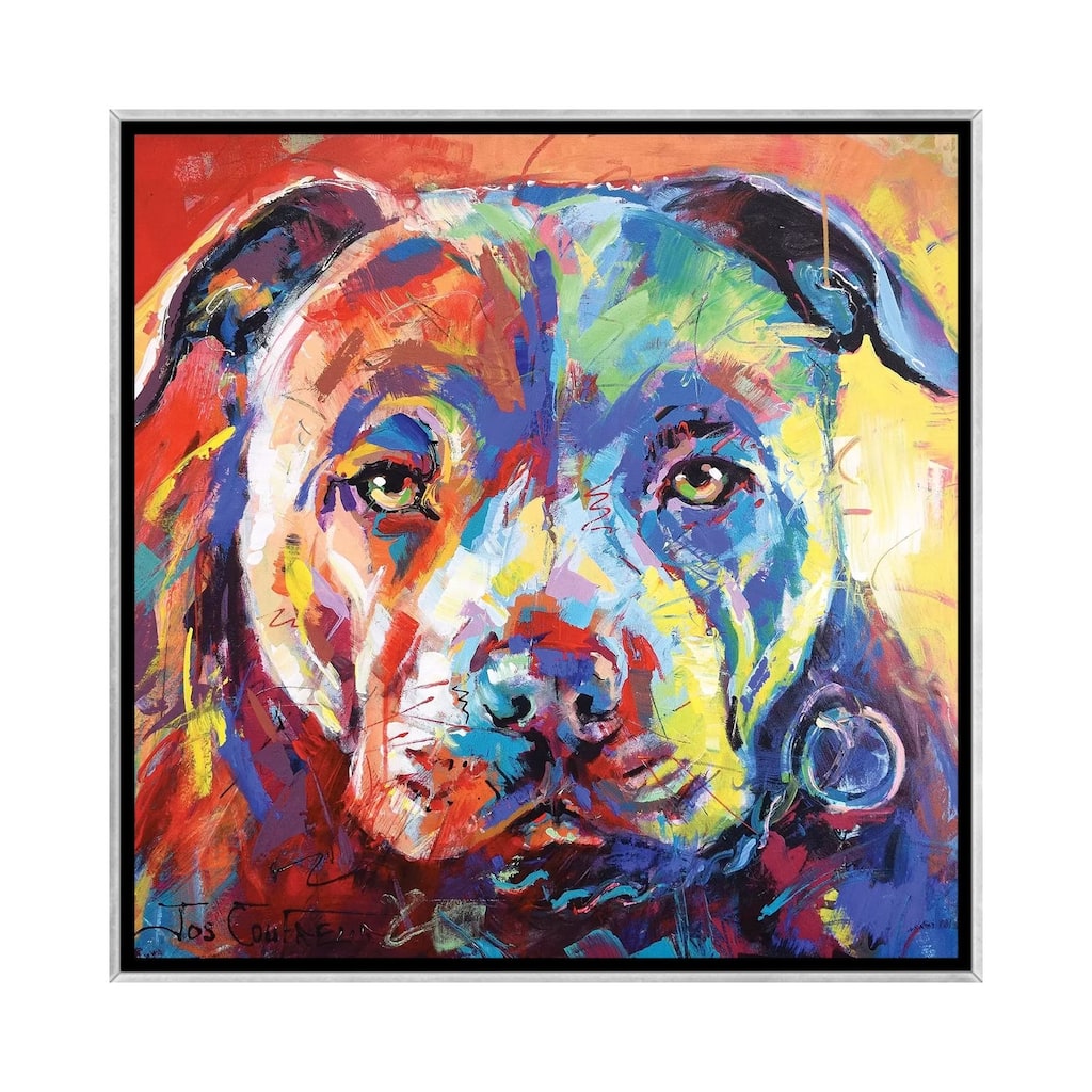 iCanvas "Staffordshire Bull Terrier" by Jos Coufreur Framed