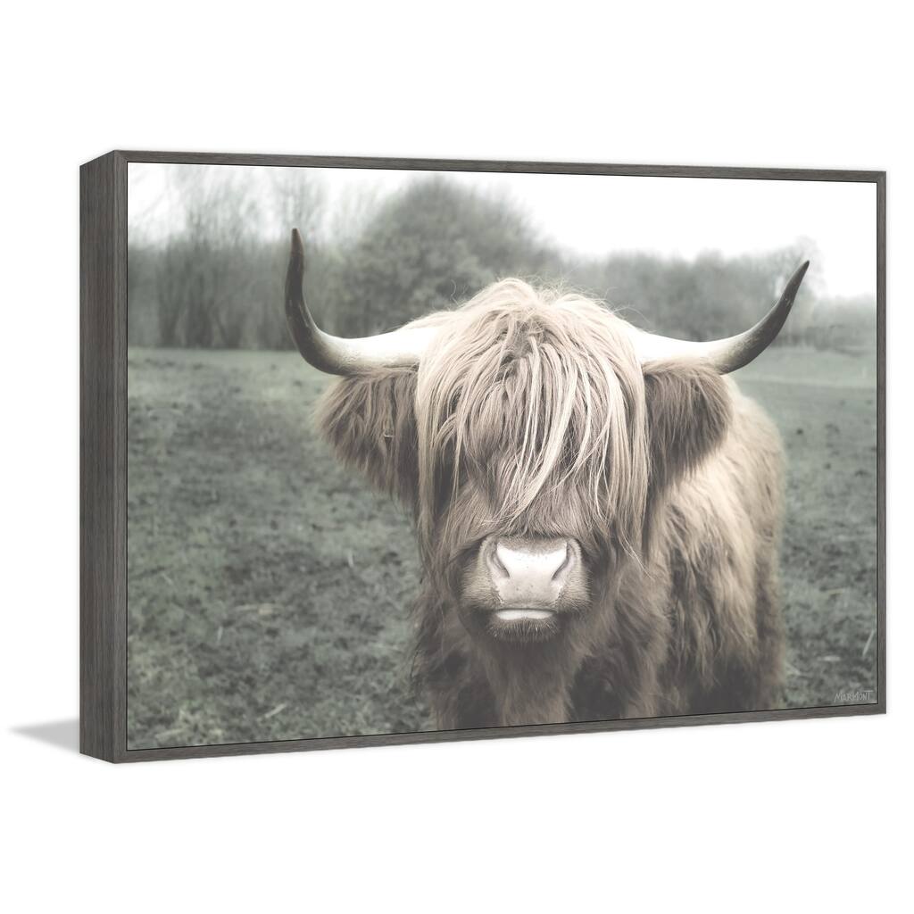 Shaggy Cattle Hair Floater Framed Print on Canvas