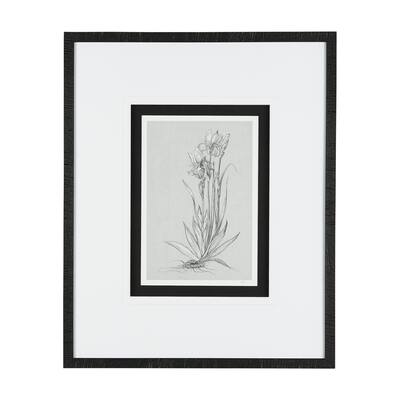 Botanical Sketches IV (Grey) Framed Art Print