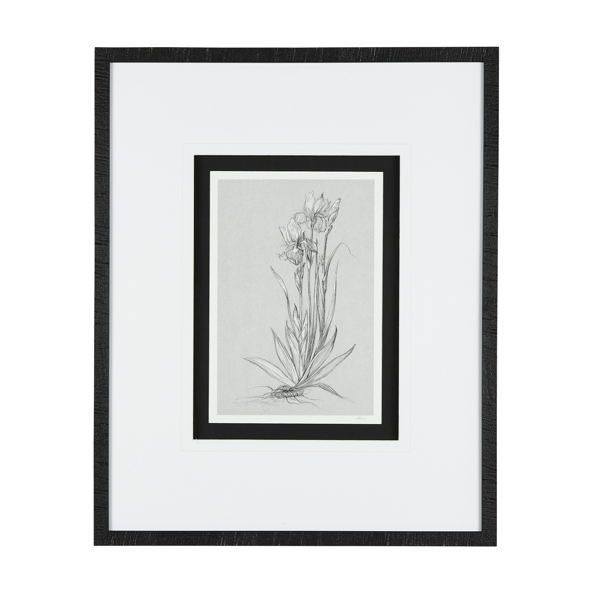 Botanical sketches IV (Grey) by Mercana Studio Hand Embellished Framed Art Print Matted under Glass
