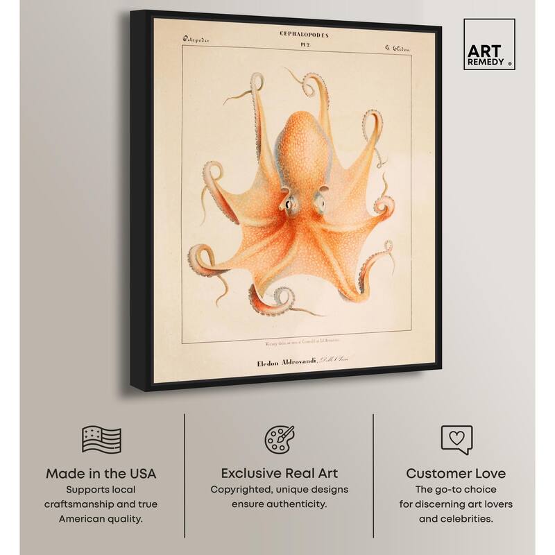 Verany The Octopus 1815 II Canvas by Art Remedy