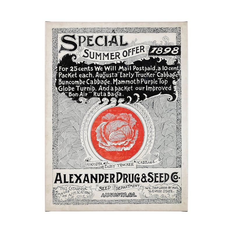 Antique Seed Packet XIIII (40 x 55) Canvas Art Print - Large