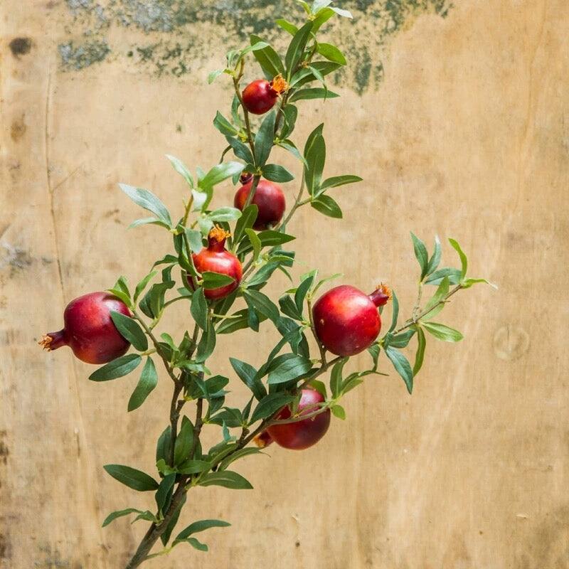 RusticReach Big Fruit Faux Pomegranate Stem 32" Tall