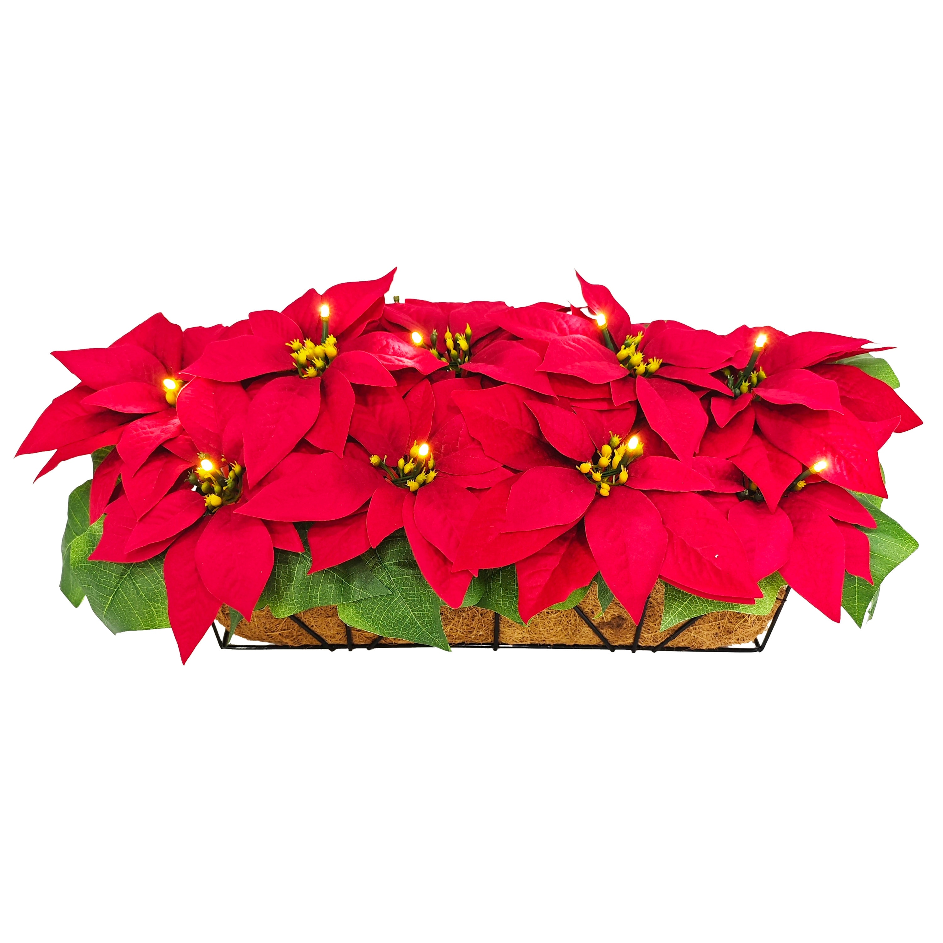 Puleo International 24" Pre-Lit Battery-Operated Artificial Red Poinsettia Window Box Décor