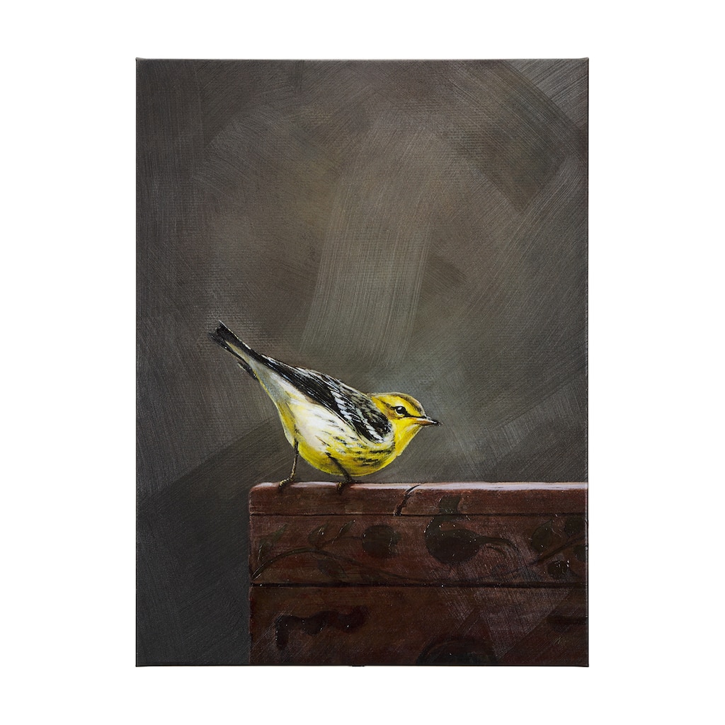 Graceful Poise III (Bay-Breasted Warbler)(42 x 56) Canvas Art Print