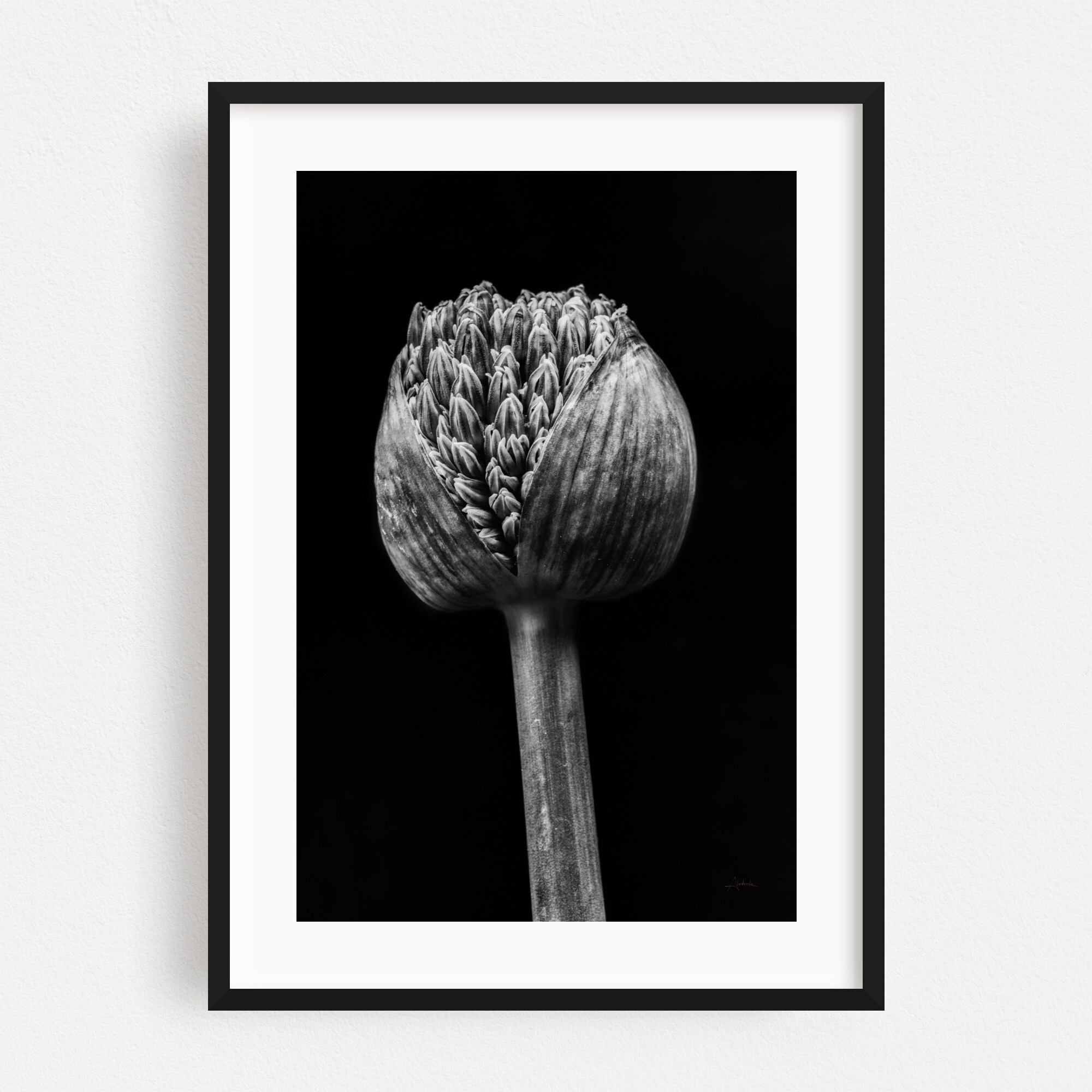 monochromatic photography artists