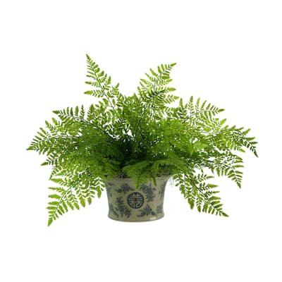 Fern Arrangement in a Decorative Ceramic Pot - Green
